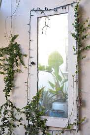 Maybe you would like to learn more about one of these? Mirror Vines Photos Free Royalty Free Stock Photos From Dreamstime