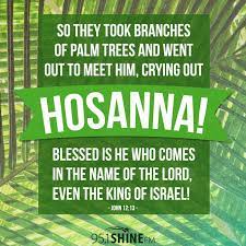 On palm sunday we tell the story of jesus entering jerusalem almost 2000 years ago, with people strewing palm branches before him. Palm Sunday Bible Quotes Quotesgram