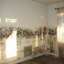 Top Tips For Getting Rid Of Damp And Mould Never Paint Again If You Want To Enjoy The Good Life Making Mon Damp Proofing Remove Mold From Walls Cleaning Mold