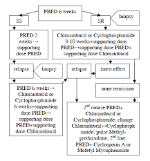Flow Chart Of Treatment Algorithm Used In Children With Ns
