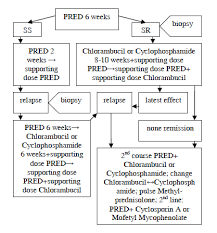 flow chart of treatment algorithm used in children with ns