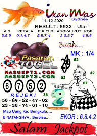 Syair Ikan Mas Sydney 11 12 2020 Ikan Joker Ikan Mas
