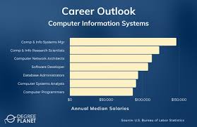 Systems analyst salaries by state. What Can You Do With A Cis Degree 2021 Guide