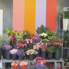 Blumen Sonntag Dusseldorf Sonntags Von 12 Bis 15 Uhr Geoffnet Der sonntag (althochdeutsch sunnun tag oder frônotag „herrentag;