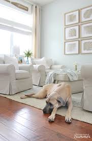 Best flooring for dog households. The Best Rugs For Big Dogs And Little Ones Too House Full Of Summer Coastal Home Lifestyle