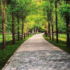 When we were building our new construction country home driveway landscaping is an important part of your home and property presentation. Decoomo Trends Home Decoration Ideas Driveway Entrance Landscaping Long Driveway Landscaping Driveway Landscaping