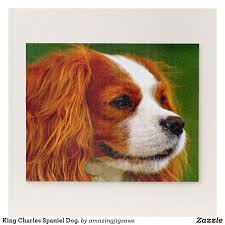 So i scoured the internet to find the prettiest jigsaws around, and i have turned into a puzzle editor for the day. King Charles Spaniel Dog Jigsaw Puzzle Zazzle Co Uk Spaniel Dog Dog Poster King Charles Spaniel