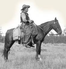 Read Real Working Cowboys Online