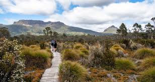 Teak drift frost hail rain; Discover The Best Of Tasmania The Travel Destination You Ll Never Forget