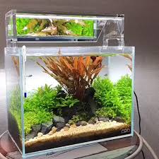Nano Planted Aquarium Maintenance In Just 33 Seconds Planted Aquarium Aquarium Maintenance Fish Tank Decorations