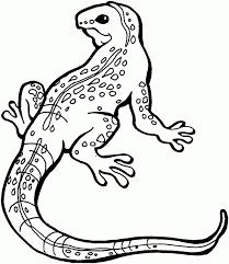 Lizards can also carry venomous chemicals. Free Printable Lizard Coloring Pages For Kids Cartoon Lizard Coloring Pages For Kids Animal Coloring Pages
