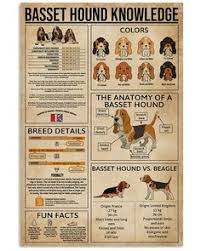 basset hound knowledge basset hound basset knowledge