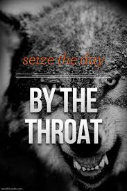 Just Do It Lean Left Courage Wolf Ftw Wolf Quotes Inspirational Quotes Quotes