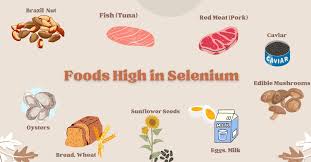 Image result for Selenium