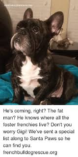 French bulldog memes image memes at relatably.com. Frenchbulldogrescueorg He S Coming Right The Fat Man He Knows Where All The Foster Frenchies Live Don T You Worry Gigi We Ve Sent A Special List Along To Santa Paws So He Can Find