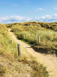 Tagesausflug Sylt Mit Dem E Bike Zum Morsum Kliff Ms Welltravel Tagesausflug Ausflug Sylt