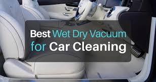 Best Wet Dry Vacuum For Car Cleaning Detailing The Art Of Cleanliness