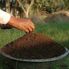 We did not find results for: Here Is A Vermicast Harvest Which I Just Used In Our Backyard Garden In Manila For Producing Organic Vegetables For Plant Pests Vermicomposting Organic Farming