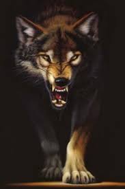 45+ wolf wallpaper for iphone on wallpapersafari. 43 Wolf Iphone Wallpaper On Wallpapersafari