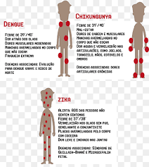 Virus ini dapat menyebabkan sakit yang ringan kepada manusia yang dikenal sebagai demam zika atau. Demam Kuning Virus Dengue Zika Infeksi Virus Chikungunya Nyamuk Teks Serangga Gejala Png Pngwing