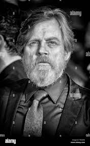 Hamill Black and White Stock Photos & Images