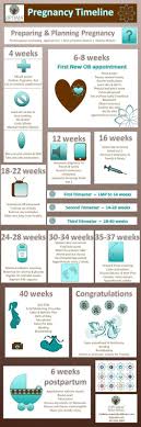 Pin On Pregnancy