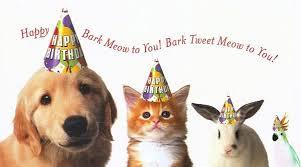 Happy birthday from the dog images sayings. Funny Birthday Memes For Dog Lovers Novocom Top