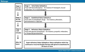 Status Epilepticus Ed Status Epilepticus Epilepsy Y Critical Care