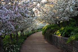 Spring Photos Spring Landscape Chicago Botanic Garden Landscape Pictures