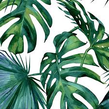 Tropical Botany Monstera Leaf Wall Art Jungle Leaves Fine Art Canvas G Nordicwallart Com In 2020 Leaf Wall Art Poster Wall Art Canvas Giclee