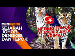 Gambar2 dari google buku2 sejarah. Sejarah Asal Usul Johor Darul Takzim Cak Lonjong Reaction Litetube