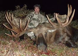 Maybe you would like to learn more about one of these? Alaska Moose Hunting Guides Outfitters And Lodges