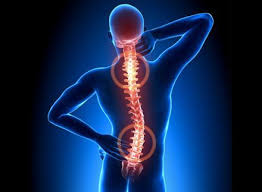 Joint Pain? Which Foods are Good or Bad for you | In Home Care Tips