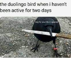 I unfortunately can't understand a lot. Beg For Your Life In Spanish Memes