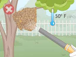 How to get rid of carpenter bees (3 easy steps) 4. 3 Ways To Remove Bees Wikihow