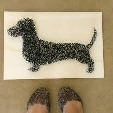 Pin On Louie The Doxiepoo Daisy The Dapple Dachshund
