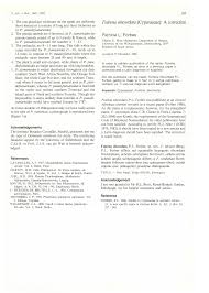 Image result for Fuirena obcordata