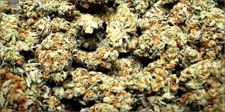 Image result for brick kilo pot  photos