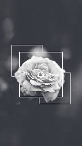 Check out our iphone background selection for the very best in unique or custom, handmade pieces from our digital shops. White Aesthetic Iphone Wallpapers Wallpaper Cave