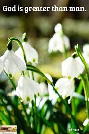 Job 33 12 God Is Greater Than Man Birth Flowers Types Of Flowers Flowers Nature