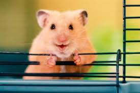 Pablo London hires creative duo behind Channel 4's 'Superhumans'