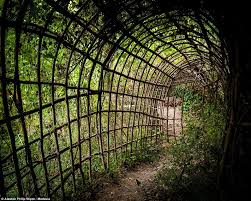 Pan S Labyrinth Spanish Pensioner Creates Maze Of Tunnels And Towers Labyrinth Maze Labyrinth Garden