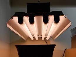 Grow bulb led grow light black magic indoor grow light bulbs t12 grow light bulbs. Led Vs Cfl Fluorescent Choosing Grow Lights For Indoor Plants Dengarden