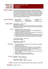 project manager cv template