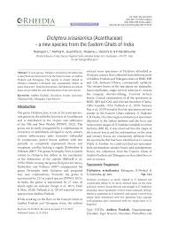 Image result for Dicliptera minor