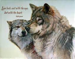 Love Looks Not With The Eyes But With The Heart Wolf Quotes Wolf Poster Lone Wolf Quotes
