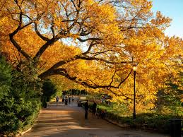 See Fall Foliage In New York For A Picturesque Autumn In 2020