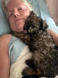 Hello Everyone — Thank you to everyone who responded to my Wednesday post  where I asked if anyone could tell me where my husband and I could adopt a  small dog here