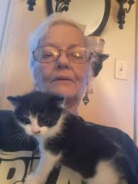 Why do people say "baby kitten" and similar terms?