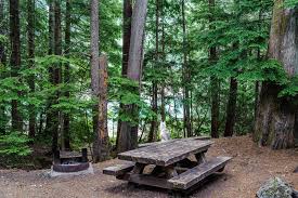Maybe you would like to learn more about one of these? 38 086 Campsite Photos Free Royalty Free Stock Photos From Dreamstime
